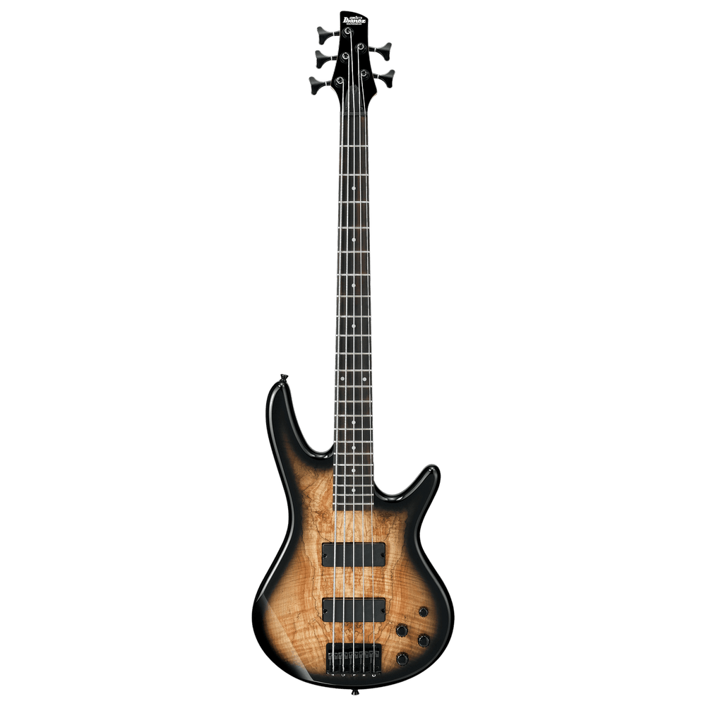 Ibanez GSR205SM Mnatural Gray Burst