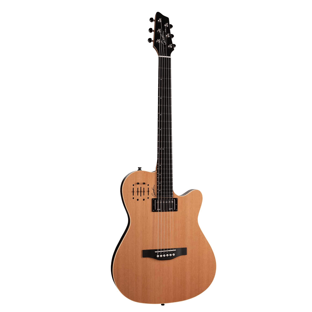 Godin A12 Natural SG - 12-String NT SG Natural Semigloss- Finish