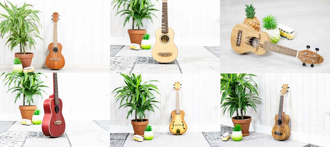 De Top 5 beginners ukulele's van 2026