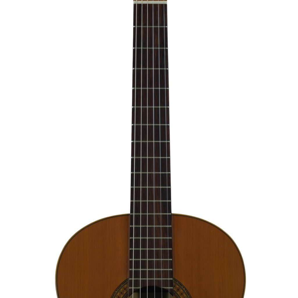 Raimundo model 112 Classical