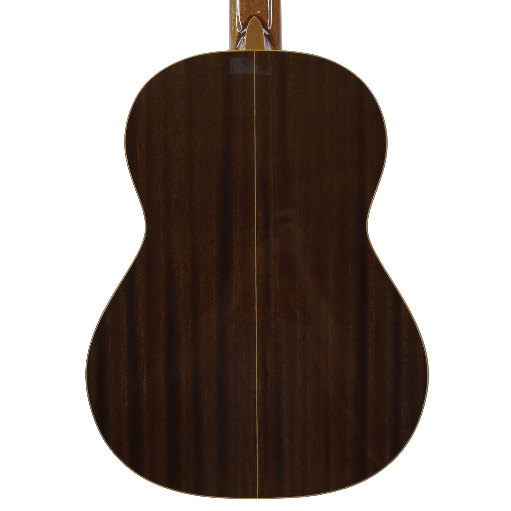 Raimundo model 112 Classical