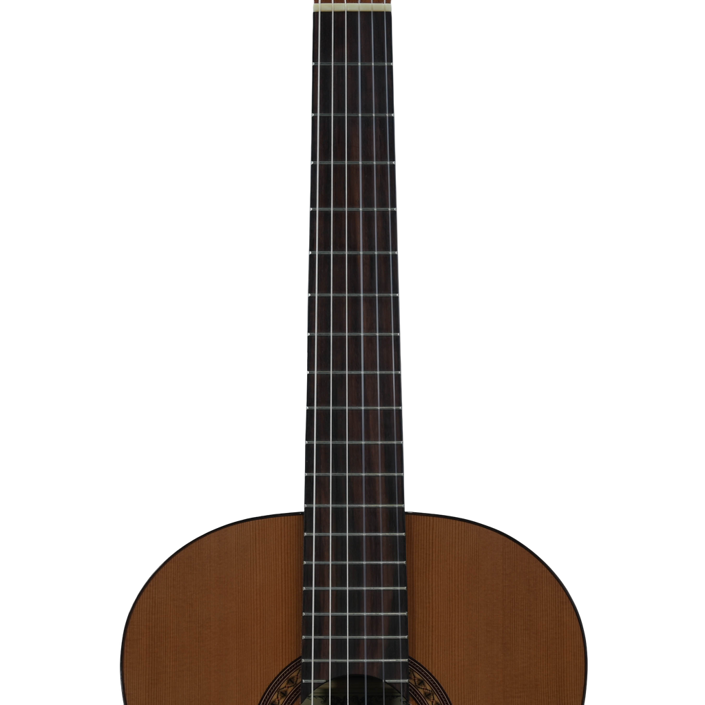 Salvador Cortez CC-22 klassieke gitaar