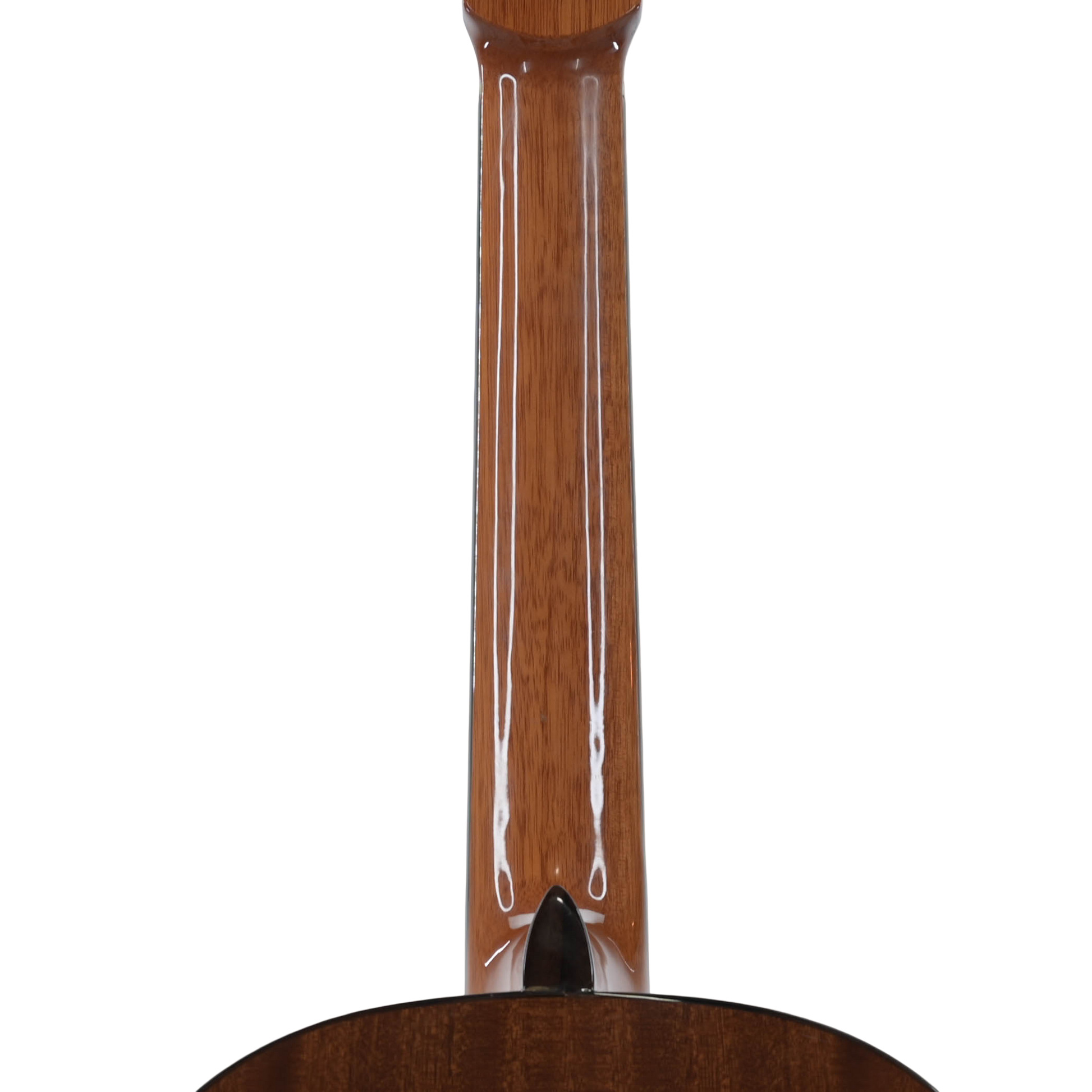 Salvador Cortez CC-22 klassieke gitaar