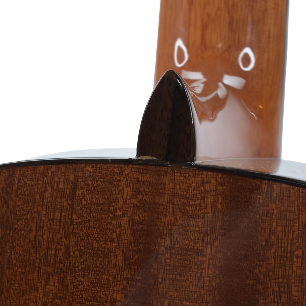 Salvador Cortez CC-22 klassieke gitaar
