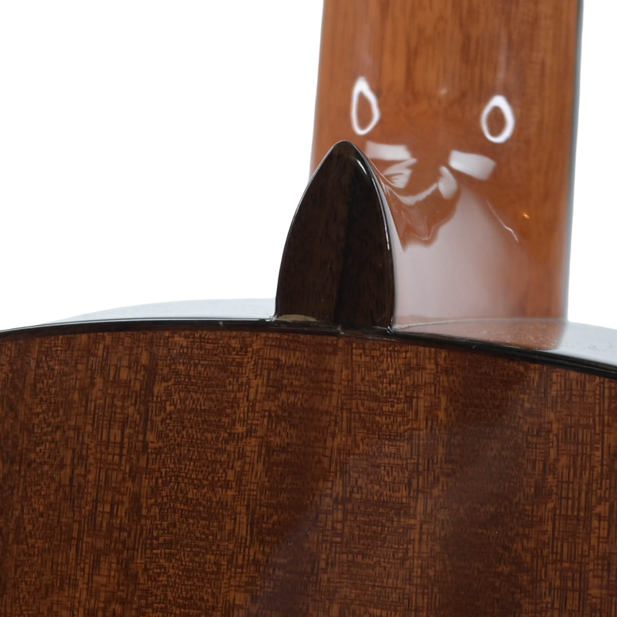 Salvador Cortez CC-22 klassieke gitaar