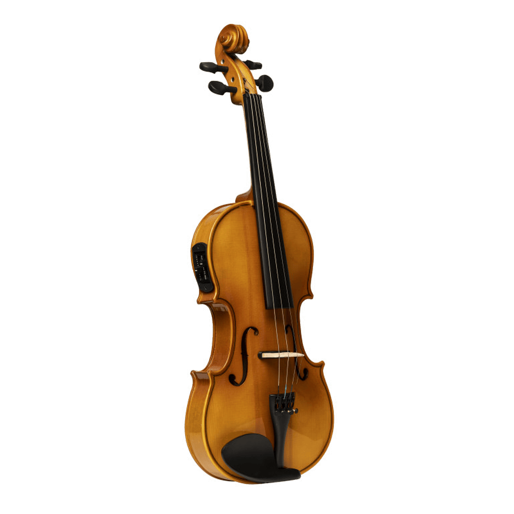 Stagg VB-4/4 ELEC viool starterset 4/4 semi-akoestisch