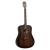 Tanglewood Crossroads D
