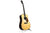 Recording King RD-342 Occasion