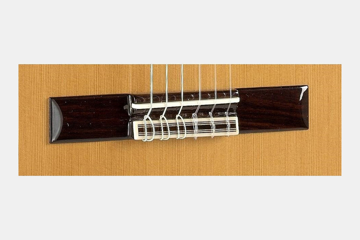 Alhambra 5p CW E8 semi-akoestische gitaar