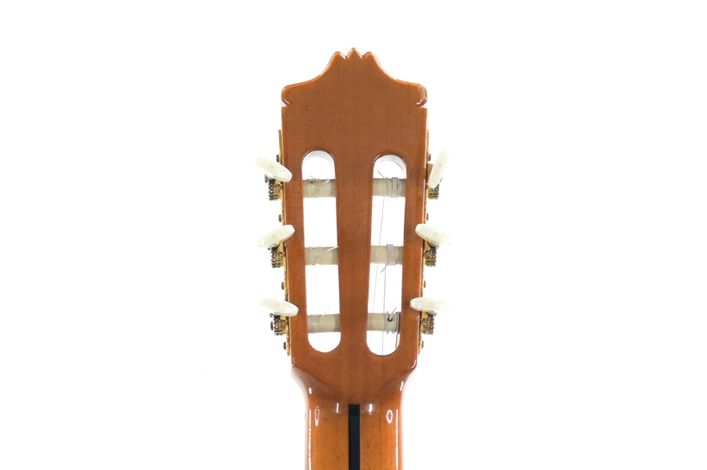 Alhambra CTWE 5P ELE semi akoestische Klassieke Gitaar