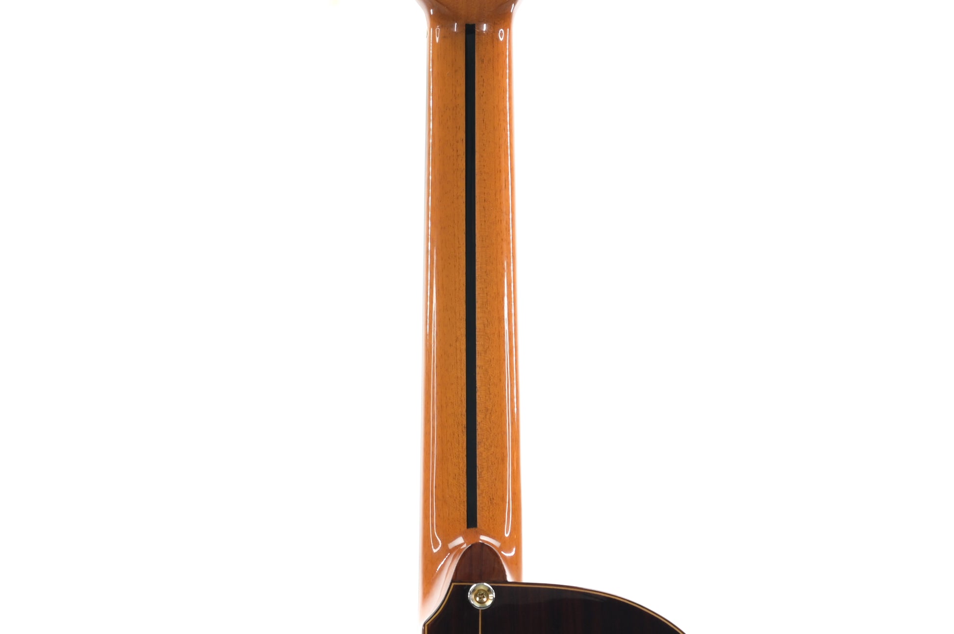 Alhambra CTWE 5P ELE semi akoestische Klassieke Gitaar
