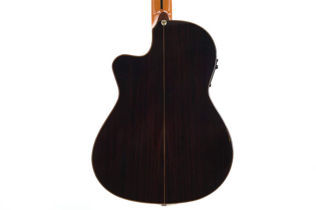 Alhambra CTWE 5P ELE semi akoestische Klassieke Gitaar