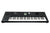 Roland BK5 Keyboard