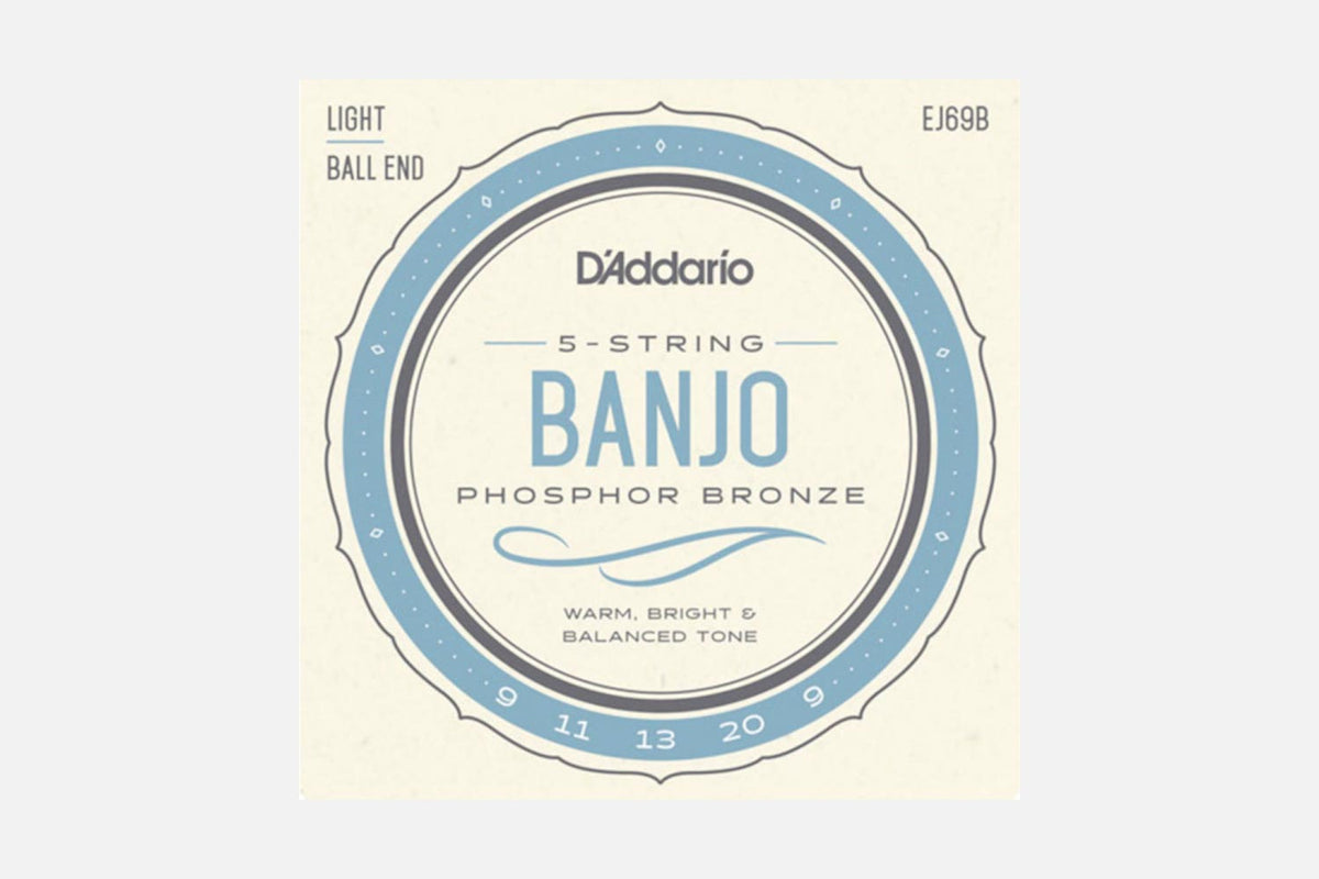 D&#39;Addario EJ69B Phosphor Bronze Ball End 5-string banjo 009-020 (5274119012516)
