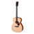 Eastman E1OM
