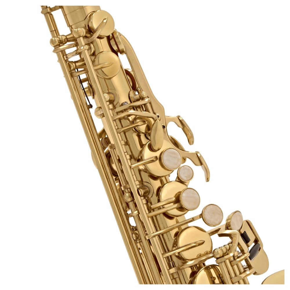 Elkhart AS100 Altsaxofoon Gelakt