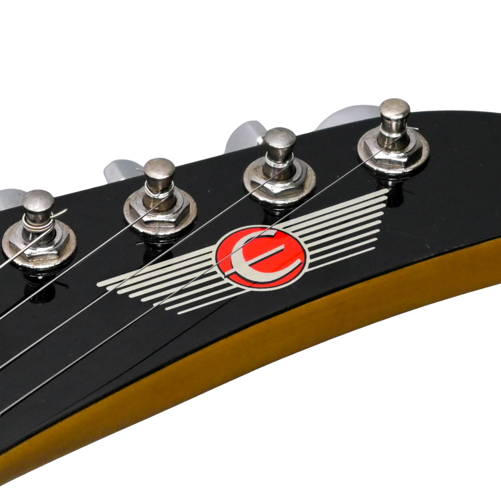 Epiphone Demon V Metallic Black (2001)