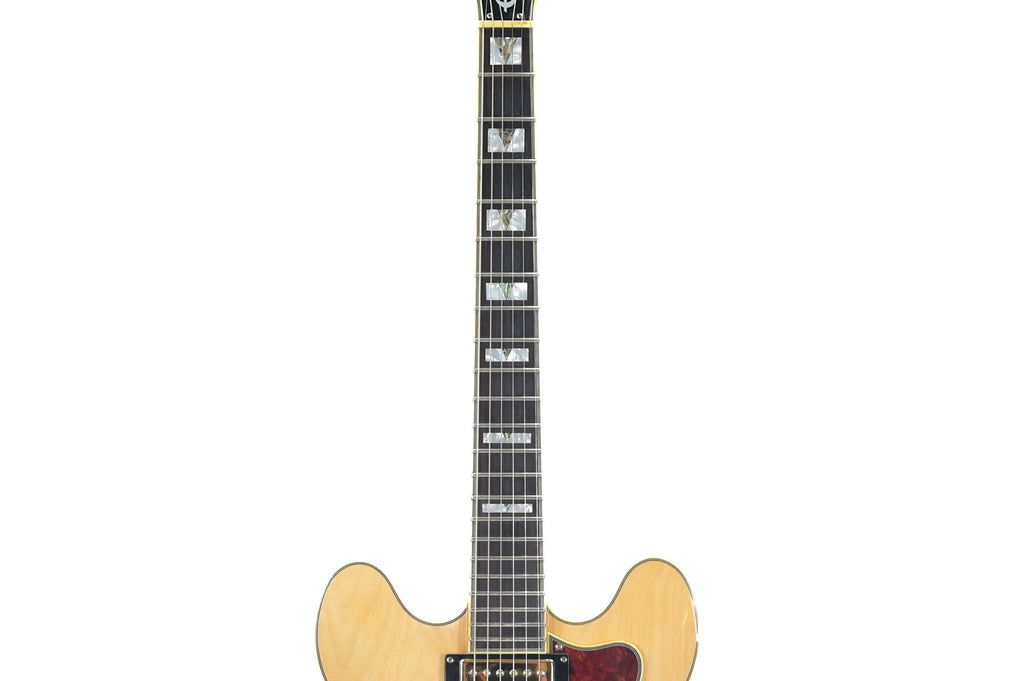 Epiphone Sheraton ii NA