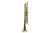 First Brass Trompet Student Occasion