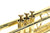 First Brass Trompet Student Occasion