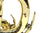 First Brass Trompet Student Occasion