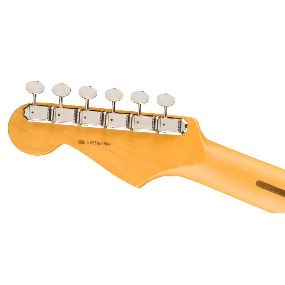 Fender American Professional Classic Stratocaster HSS Faded Black