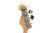 Fender Player Jazz Bass Black
