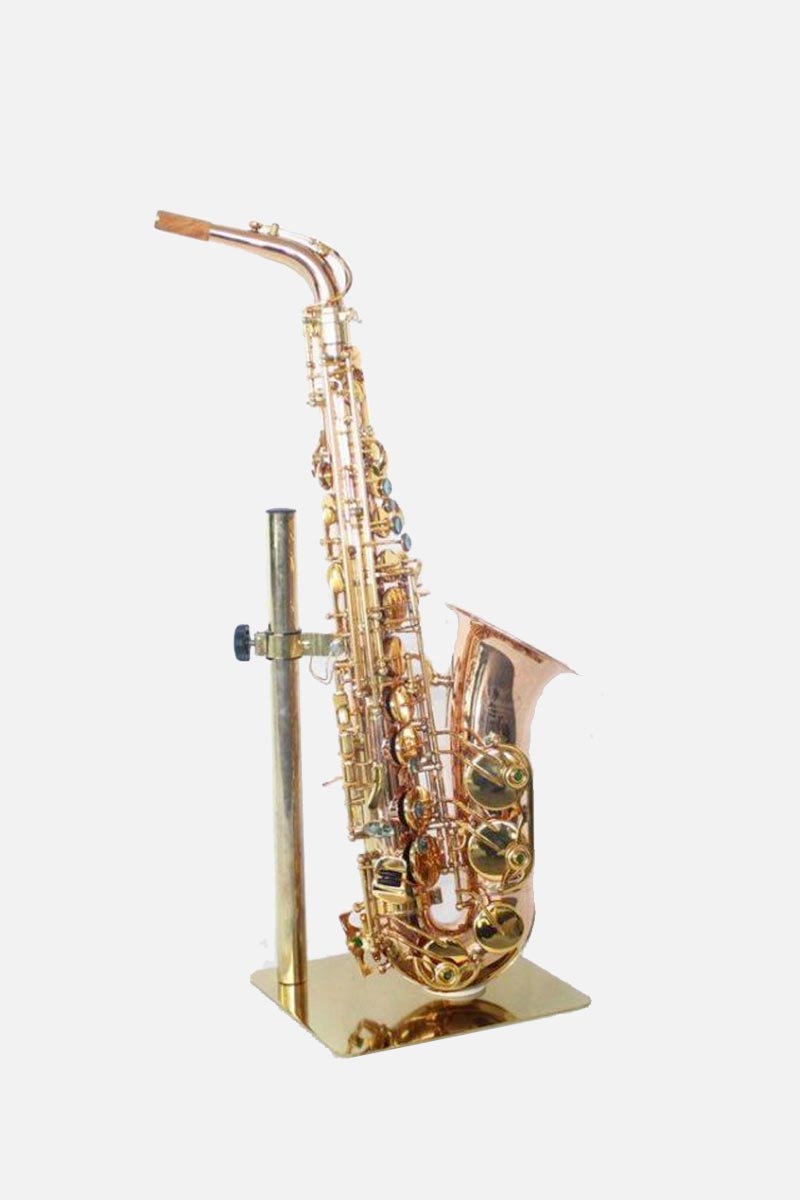 Buy saxophone? Music All In