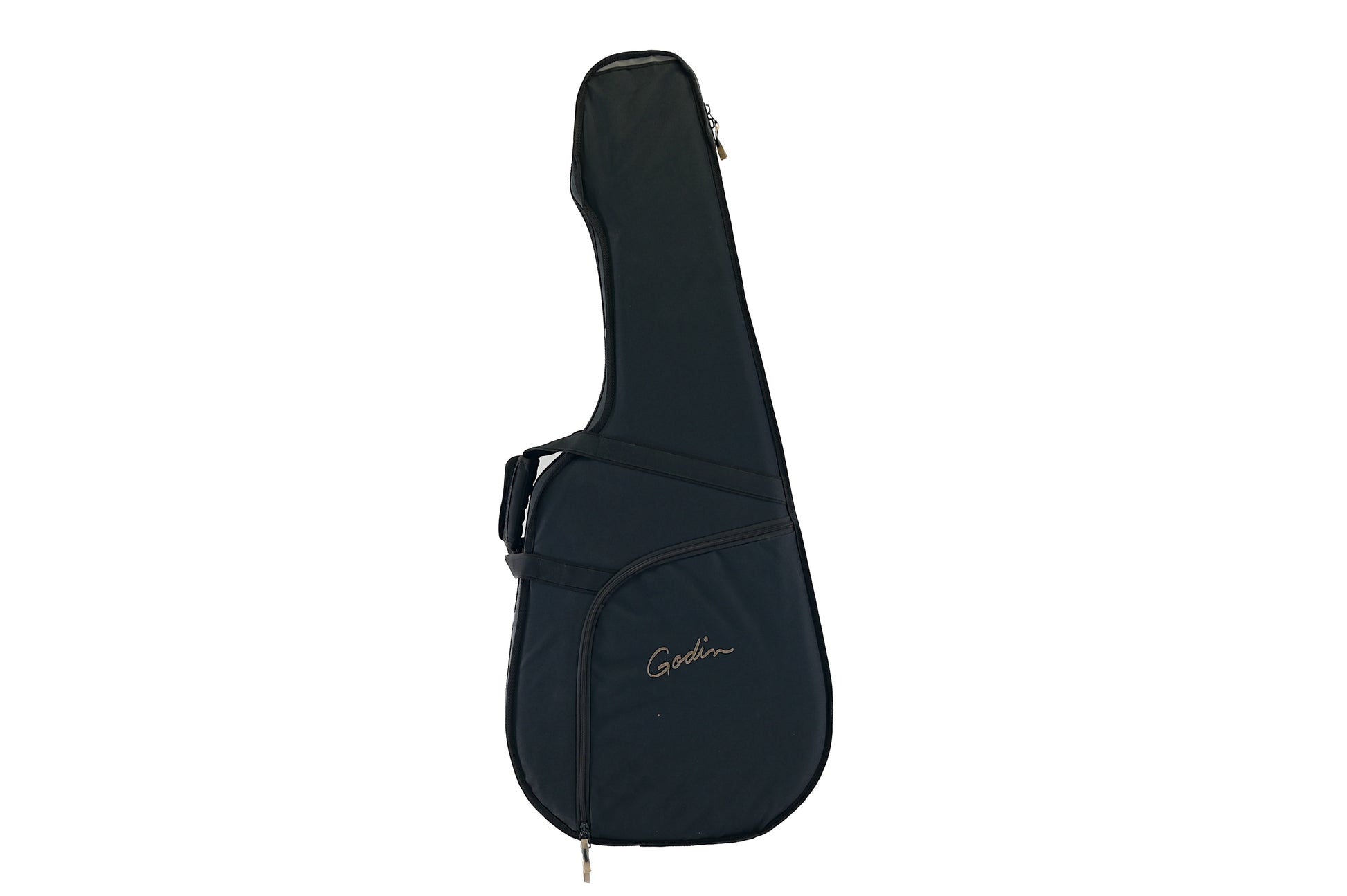 Godin TRIC Case  Multiac Steel