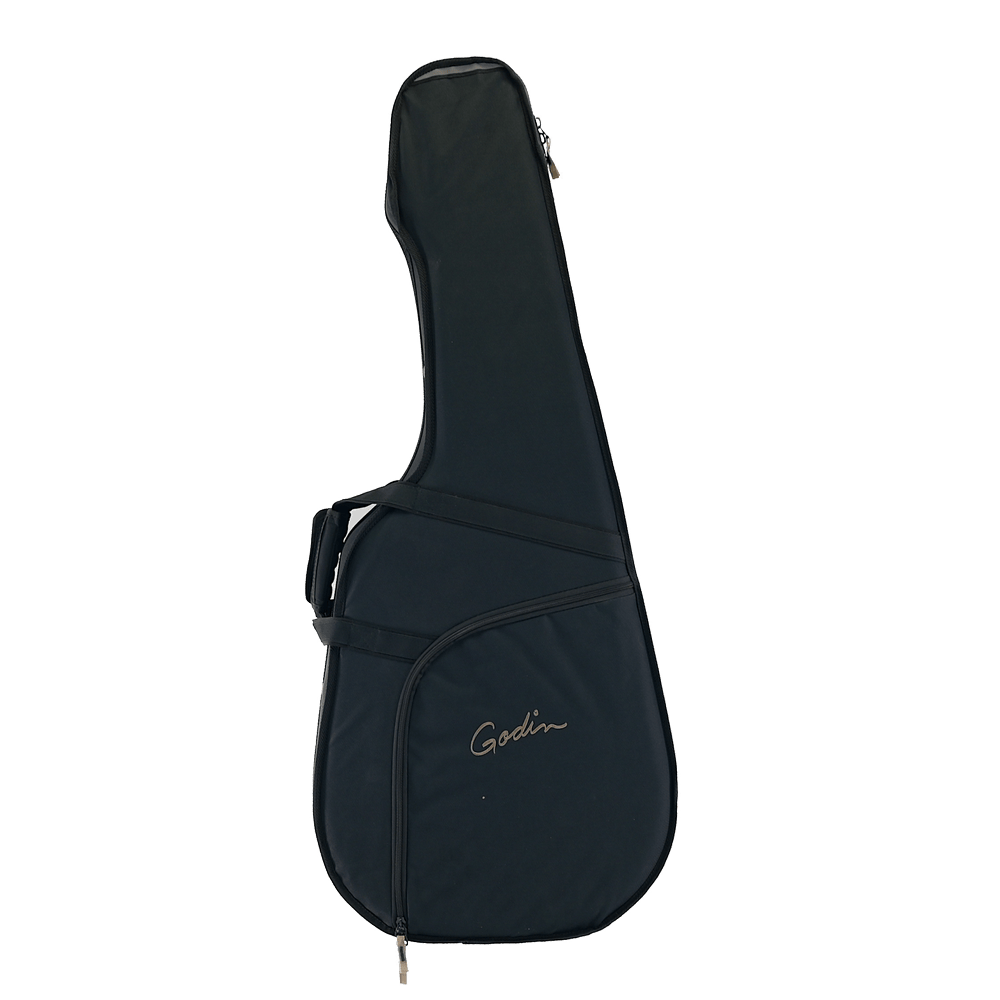 Godin TRIC Case  Multiac Steel