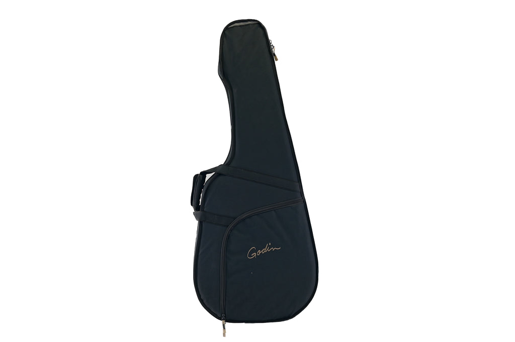 Godin TRIC Case  Multiac Steel