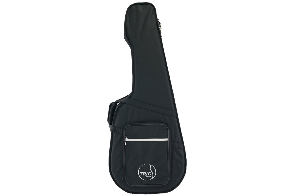 Godin Tric parlor Case