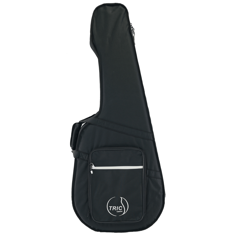 Godin Tric parlor Case