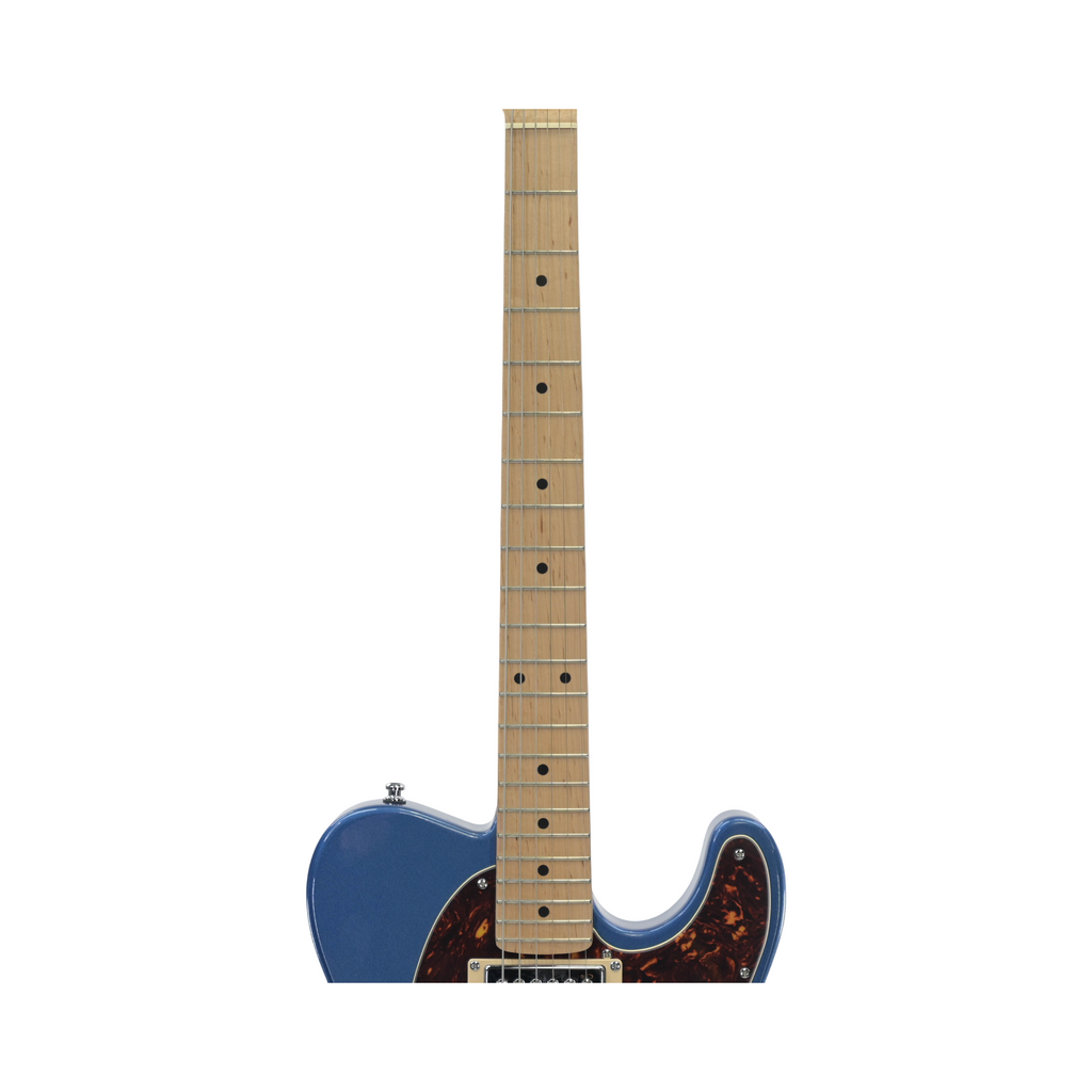 Harley Benton Te-20MN BM modified
