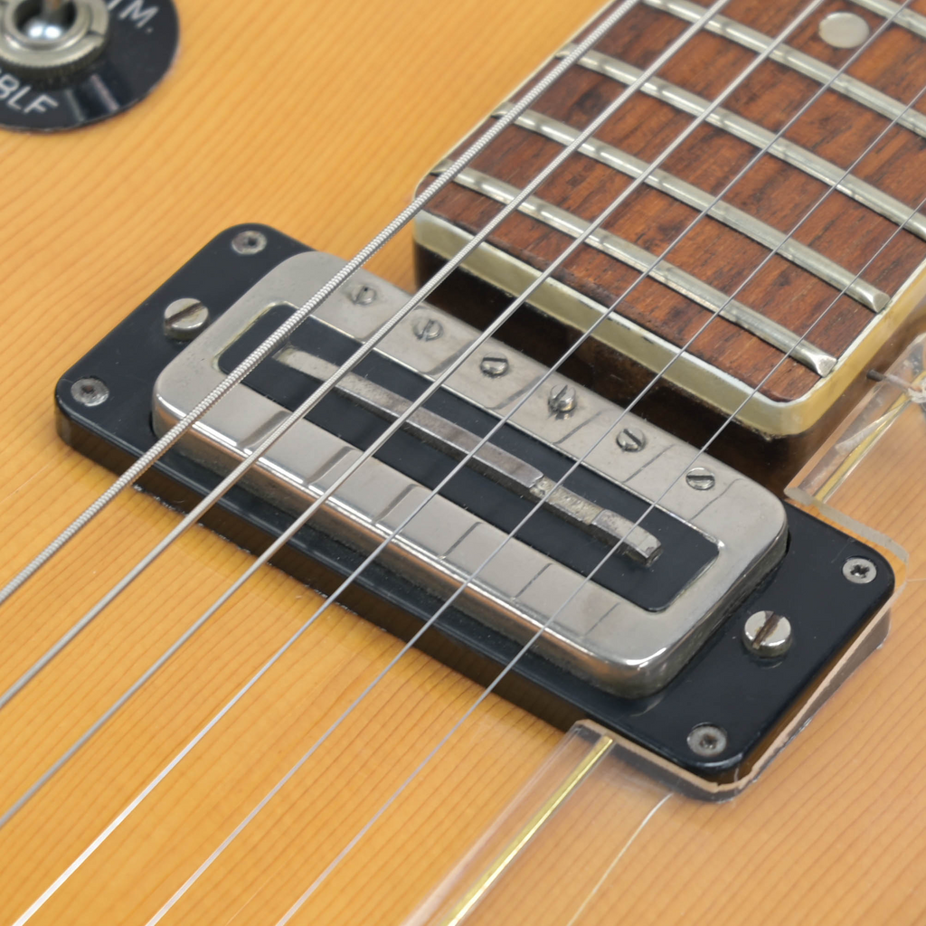 Höfner 463/ S/ E2 circa 1970 hollow body