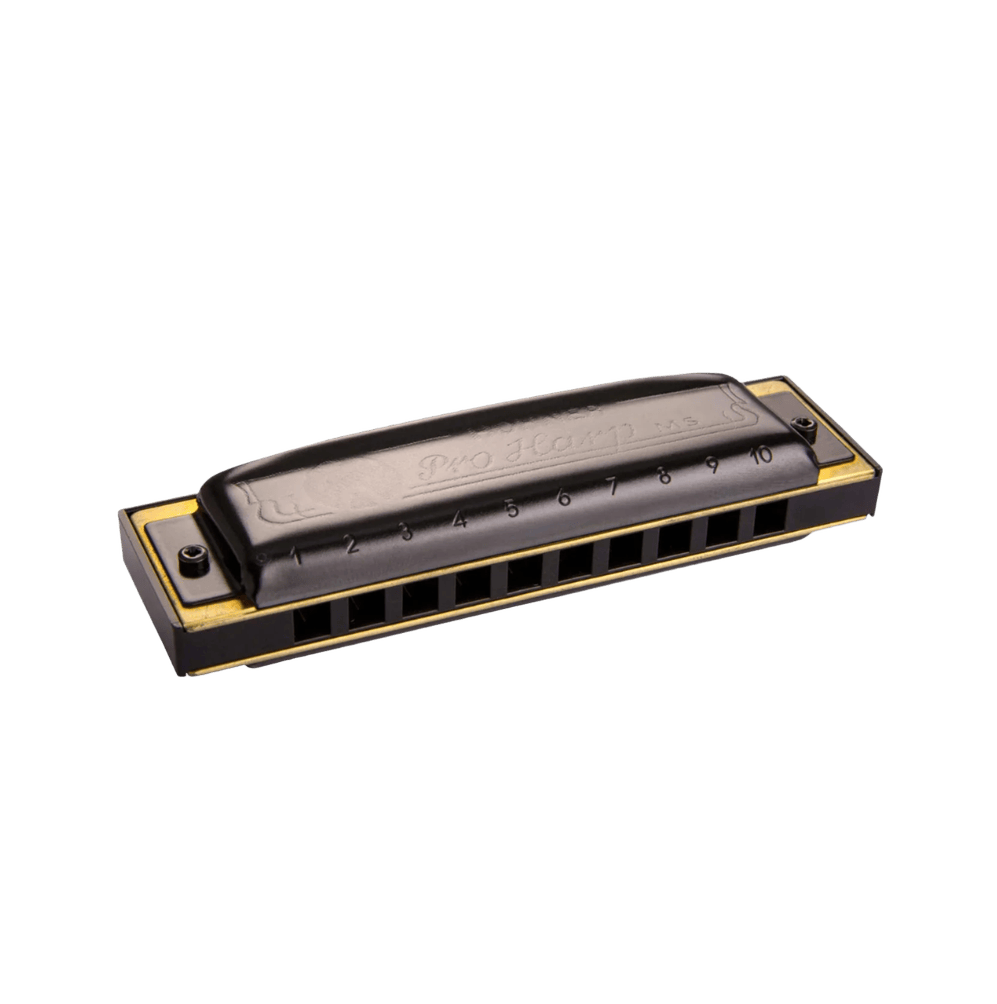 Hohner Pro Harp C