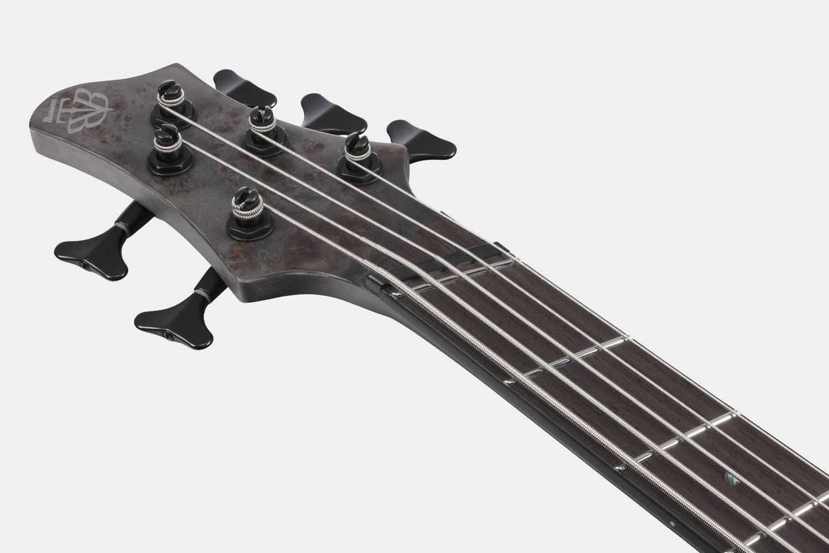 Ibanez BTB805MS-TGF Transparent Gray Flat 5-snarige basgitaar