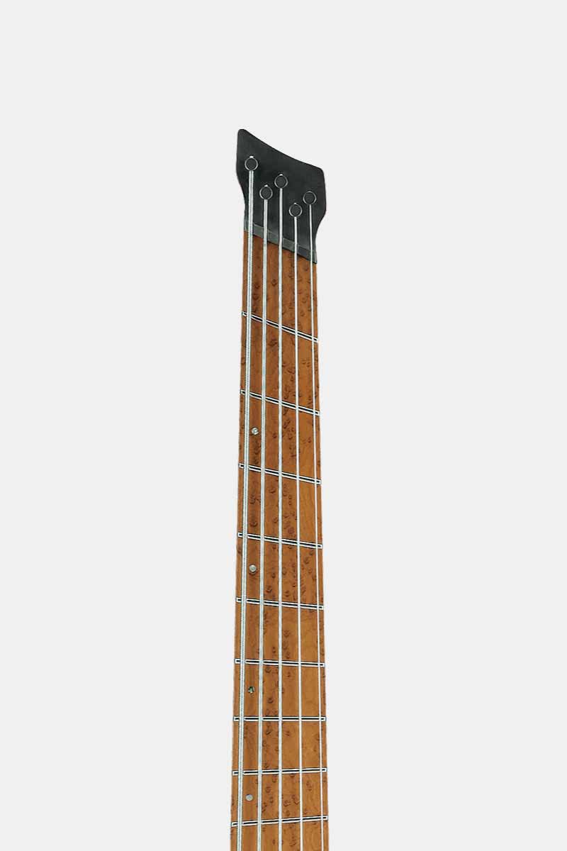 Ibanez EHB1005MSS FM Bass  5-String