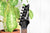 Ibanez RG421PB-CHF Caribbean Shoreline Flat Elektrische gitaar