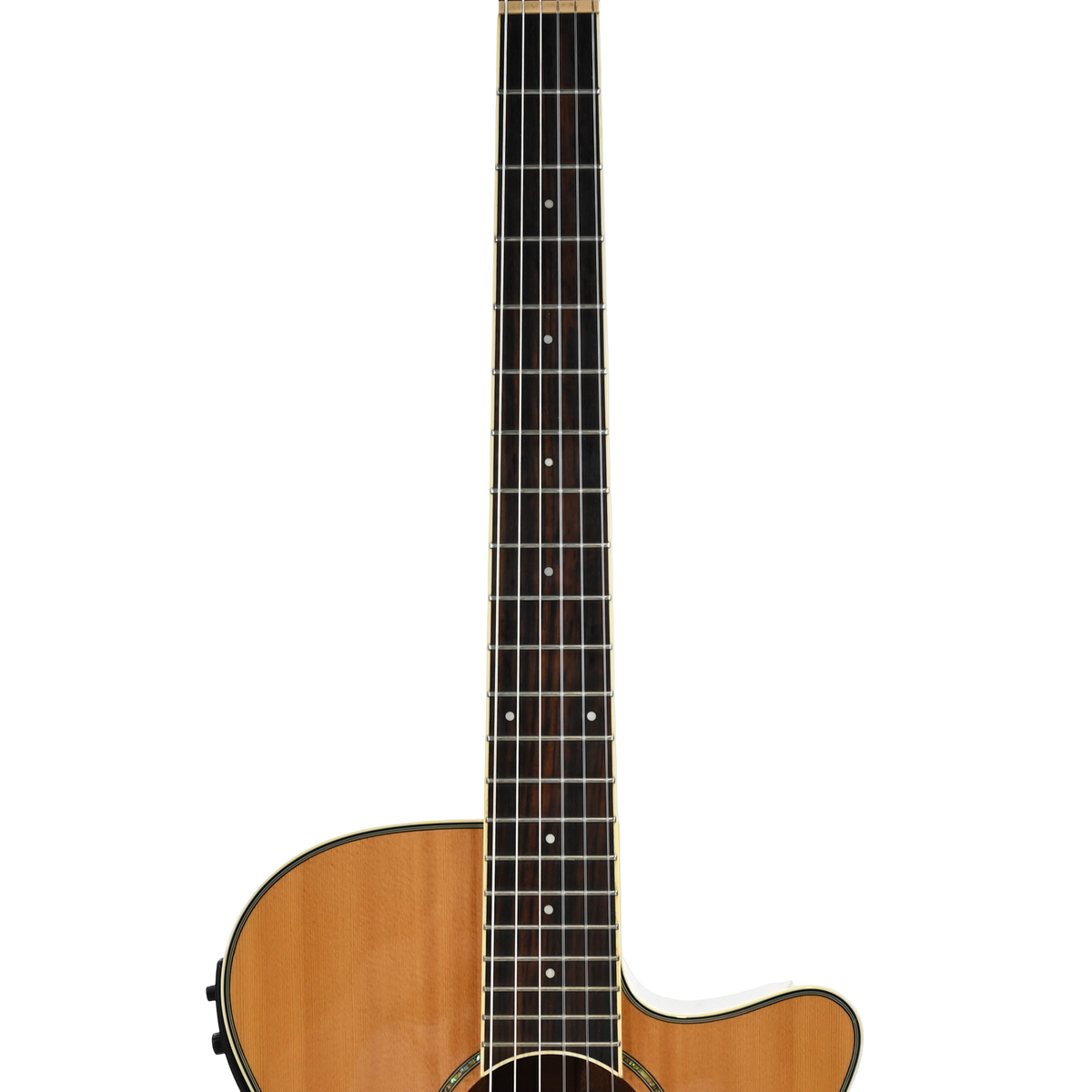 Ibanez AEG10N II-NT