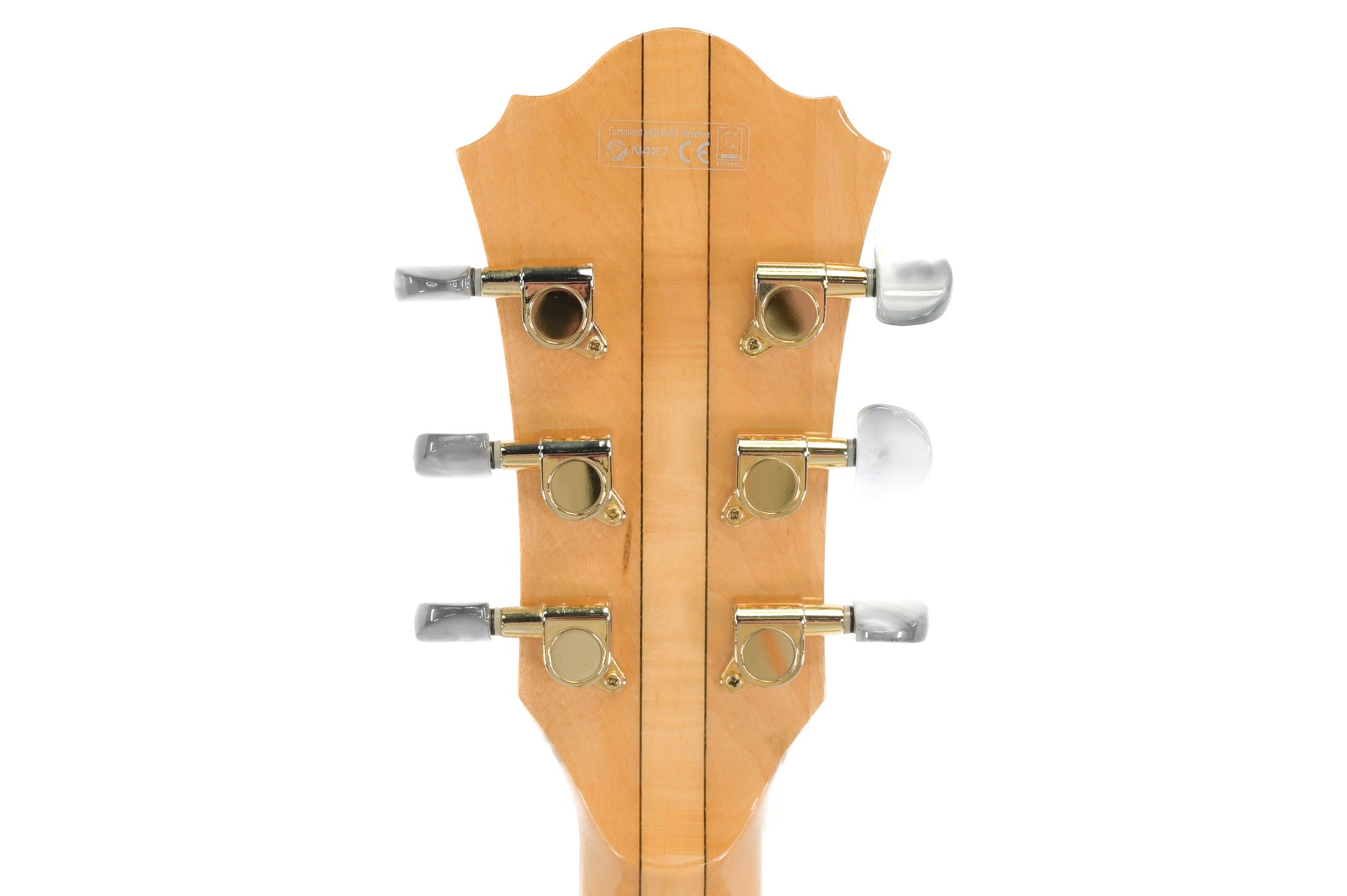 Ibanez AF105XT