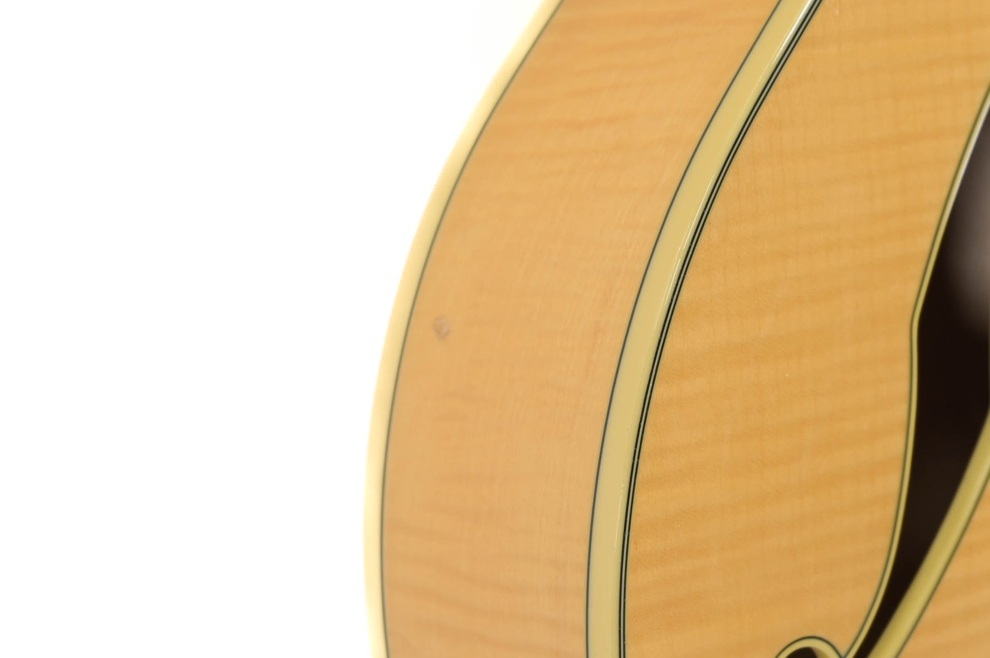 Ibanez AF105XT