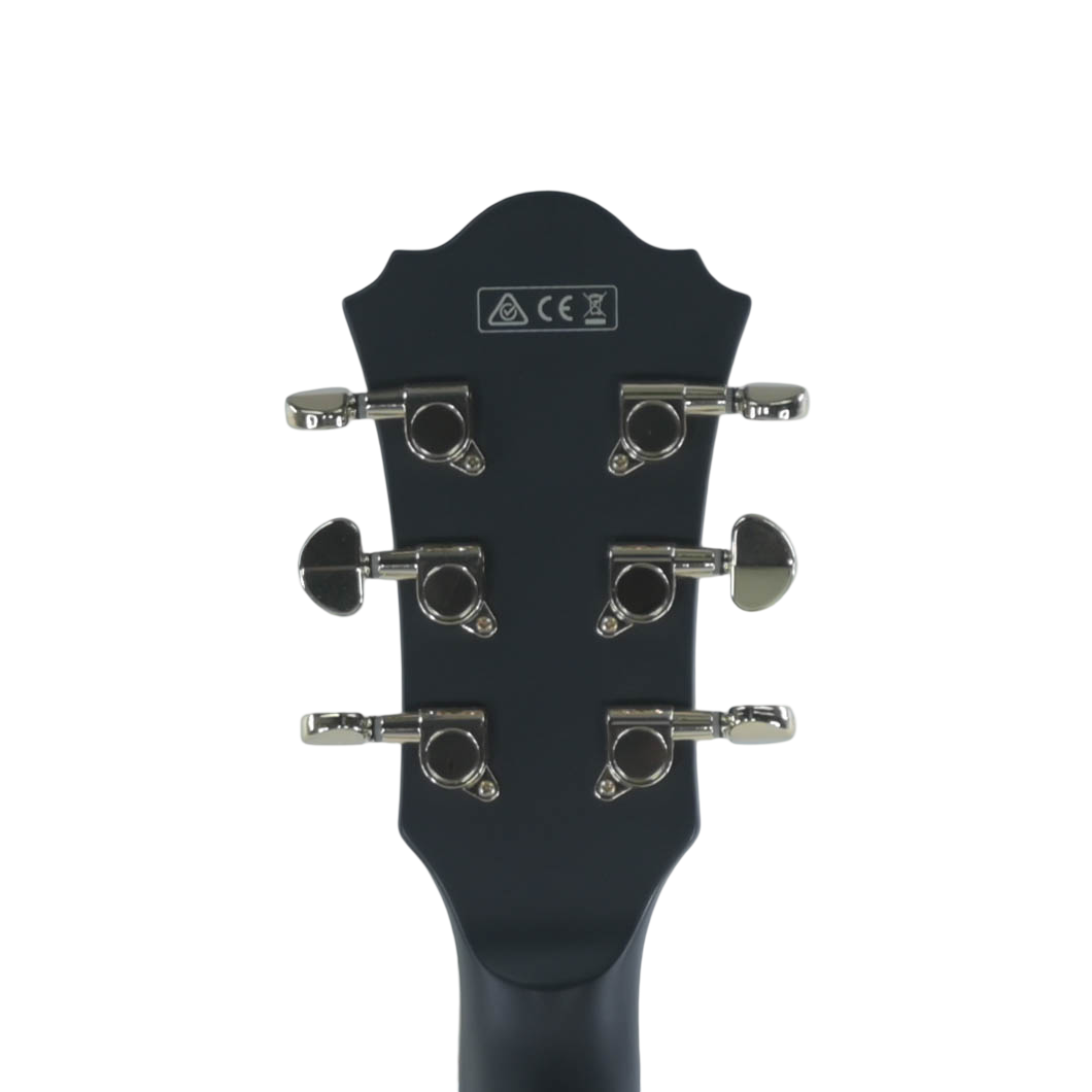 Ibanez AF75G-BKF Mat Zwart Pre-owned