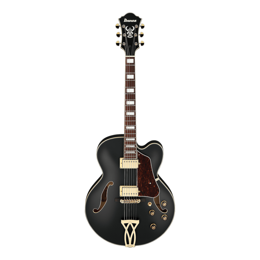 Ibanez AF75G Black Flat