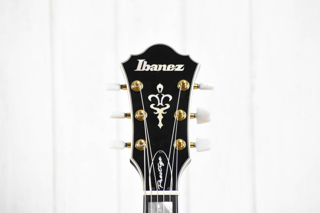 Ibanez AM200BK - Hollow Body met koffer