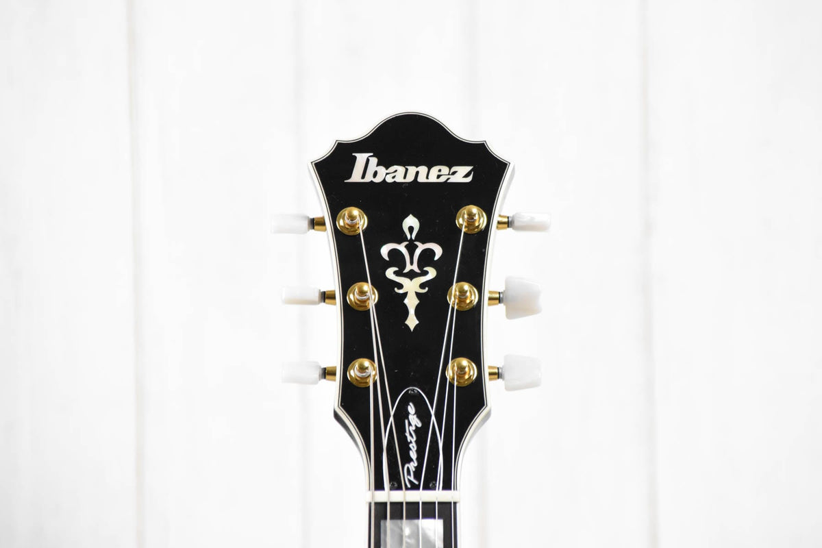 Ibanez AM200BK - Hollow Body met koffer