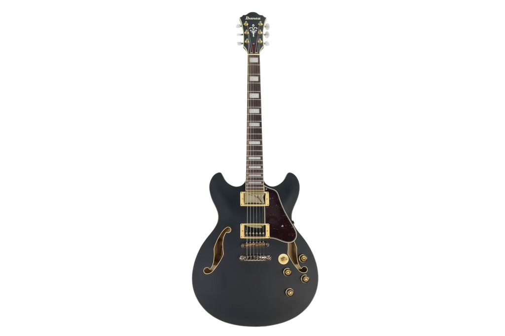 Ibanez AS73G-BKF Hollow body
