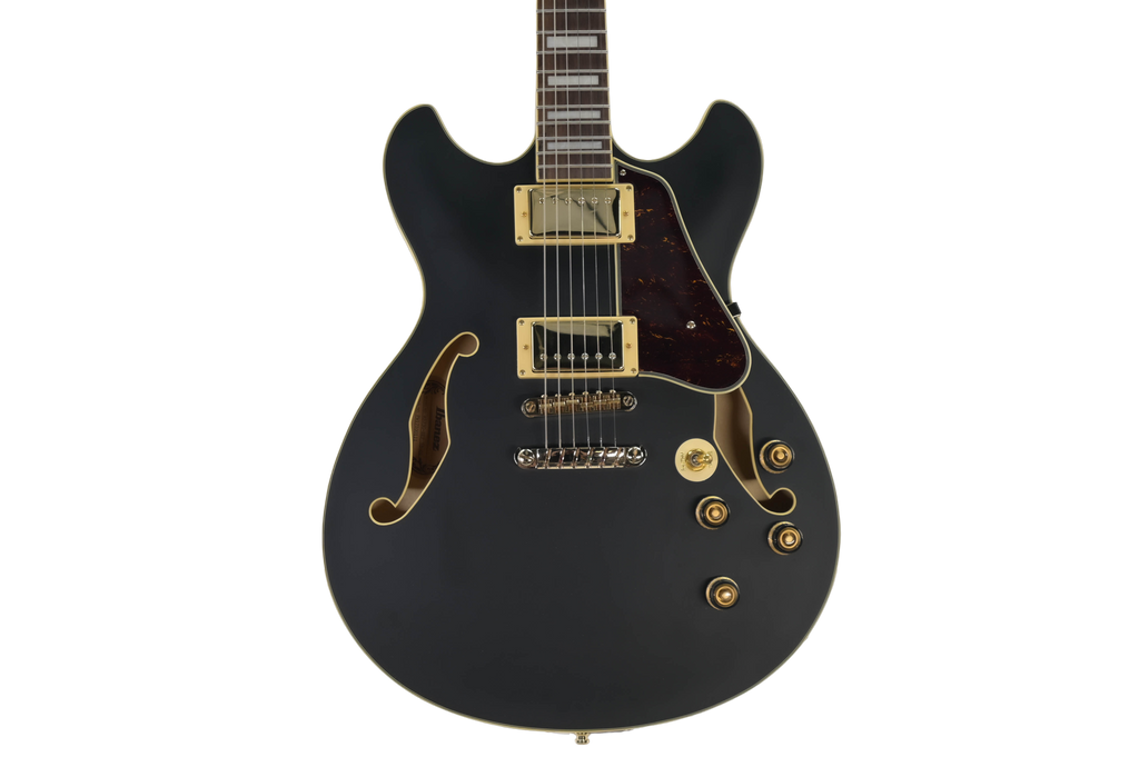 Ibanez AS73G-BKF Hollow body