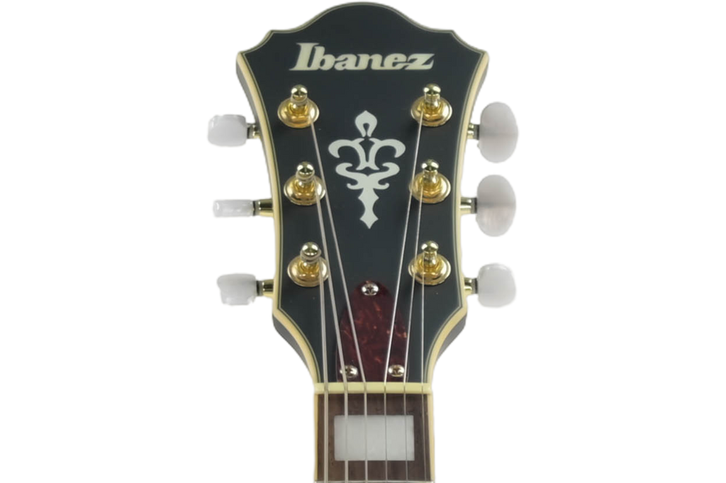 Ibanez AS73G-BKF Hollow body