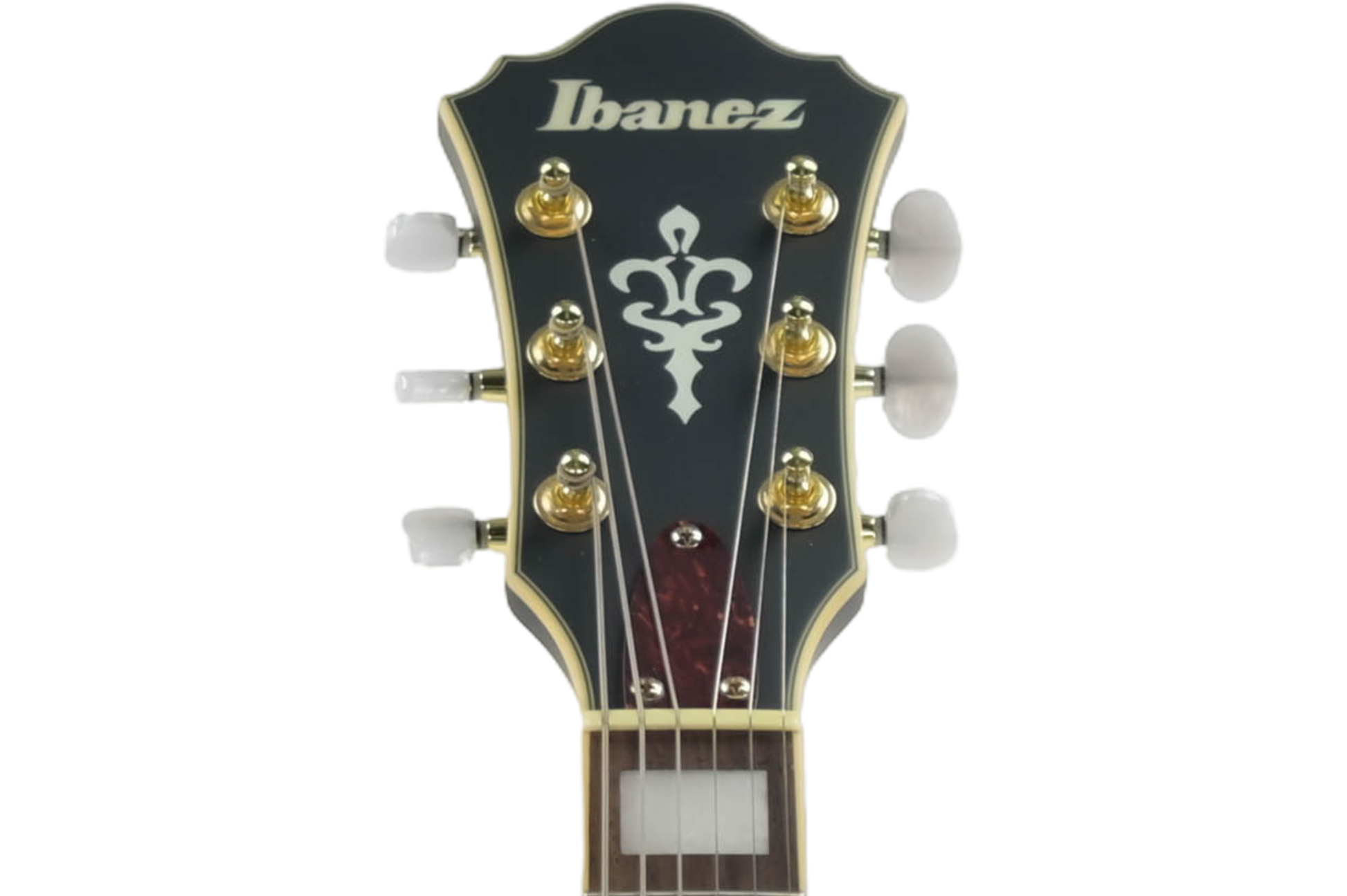 Ibanez AS73G-BKF Hollow body